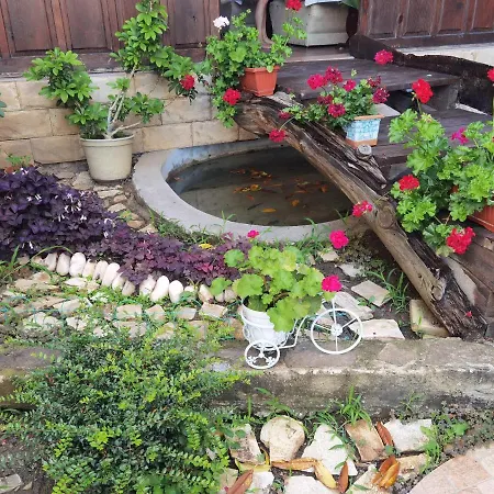 Hotel Santorini Święty Włas